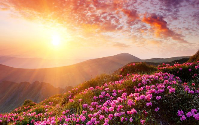 Trauerrednerin Nicole Stüer begleitet individuelle Trauerfeiern in NRW